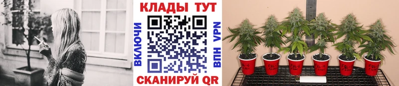 Где купить наркотики Кызыл СОЛЬ MEGA маркетплейс Кокаин