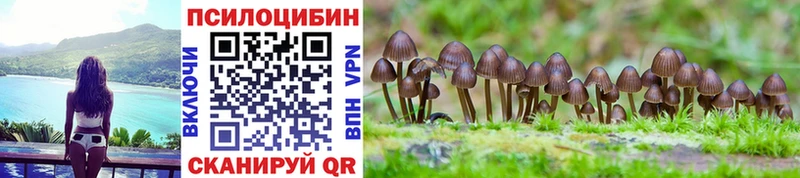 Псилоцибиновые грибы Cubensis Кызыл